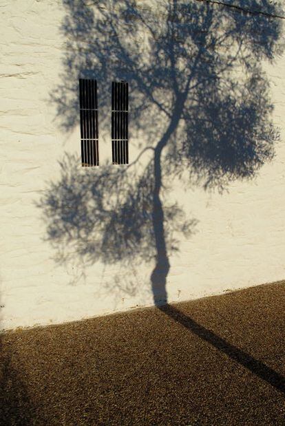 Proyecto de residencia realizado por el colectivo No-photo en Vegaviana (Cáceres).