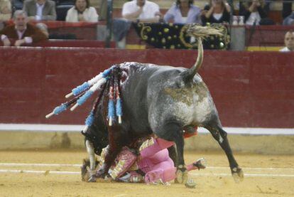 Momento en que <i>Marqués</i> cornea en el rostro al diestro Juan José Padilla.