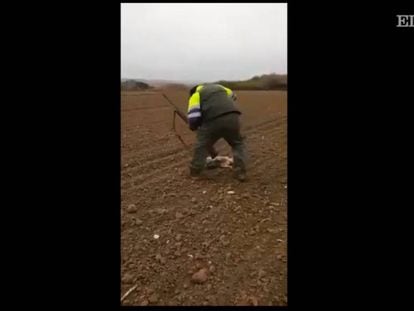 Imagen del cazador maltratando al zorro. El vídeo fue eliminado por YouTube.