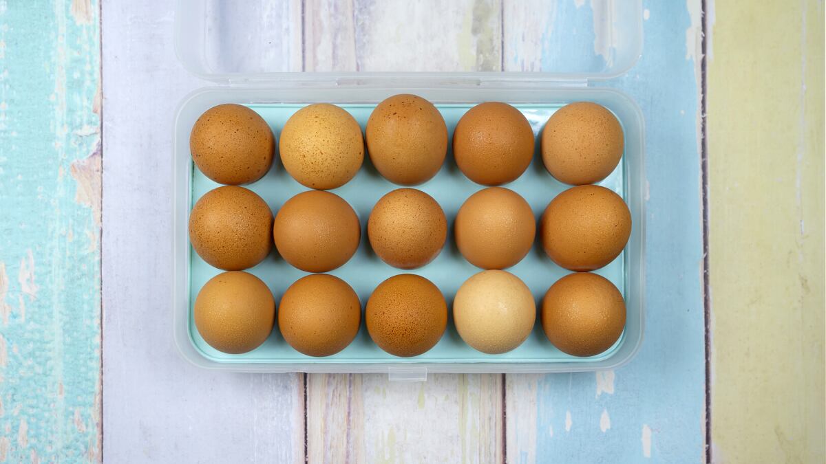 Hueveras De Plástico En Forma De Garra De Pollo - Pack De 6, Para Huevos Cocidos O Crudos, Divertidas Y Prácticas