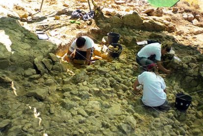 Arriba, arqueólogos y antropólogos trabajan en el yacimiento de Calvero de la Higuera, en Pinilla del Valle (Madrid), donde hallaron los dientes de la niña neandertal. A la izquierda, dos incisivos, un canino y un molar que forman parte del hallazgo.