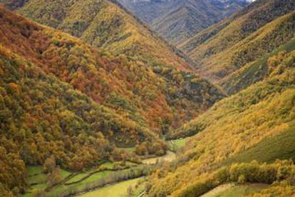 Vista de las Tablizas, en el acceso a la reserva natural de Muniellos (Asturias).