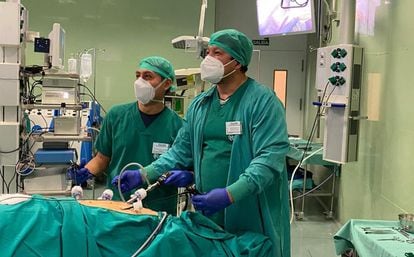 Diomeres Sánchez, a la derecha, en una laparoscopia a un cerdo en su clínica de Mallorca.