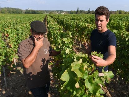 La denominación de origen de Burdeos tiene 14.000 productores. En la foto, dos trabajadores de Chateau Carbonnieux.