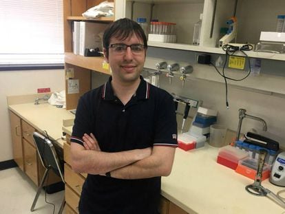 El biólogo Álvaro Fernández, en su laboratorio de la Universidad de Texas.