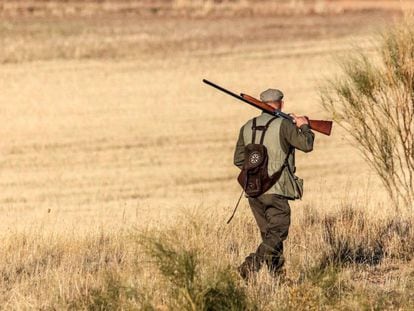 Un cazador en el campo.