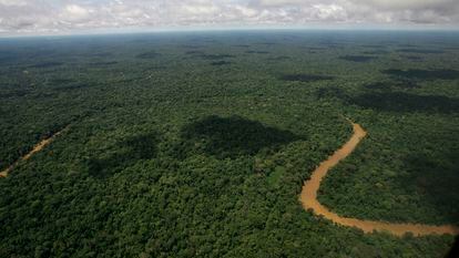 Vista aérea del Parque Nacional Yasuní, en la selva ecuatoriana.