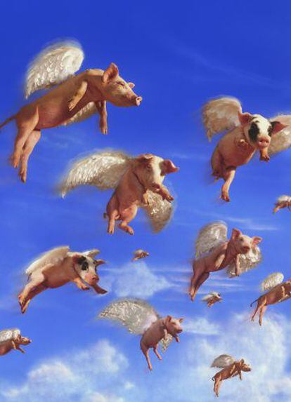Soñar con cerdos volando no significa nada.
