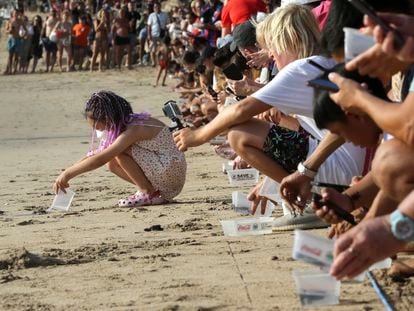 Un grupo de turistas libera tortugas en el océano en la playa de Kuta, Bali, Indonesia.