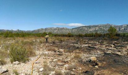 38 dotaciones de bomberos remojando los puntos calientes del incendio.