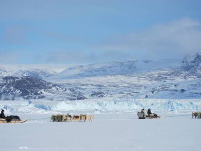 Excursión en trineo de perros por el distrito de Thule (Groenlandia).
