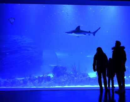 Ecoturismo. La degradación de los océanos es un hecho y Atlantis Aquarium, el primer acuario interactivo de Europa, acaba de abrir en Xanadú (Madrid) con una  novedosa apuesta para  la  concienciación medioambiental. Para el visitante, el viaje comienza cuando  un meteorito impacta en la Tierra y una civilización sumergida alerta de las consecuencias del cambio climático si no se actúa. En el acuario se integran 20 ecosistemas marinos.