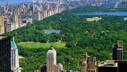 Central Park. 