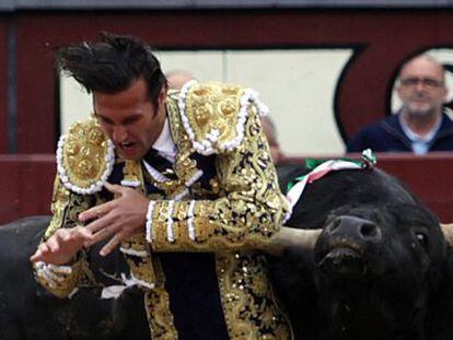 El diestro David Mora, cogido por su primer toro el martes en las Ventas. 