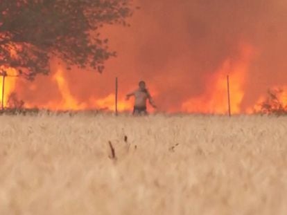Un hombre atrapado en un incendio forestal escapaba del fuego con la ropa en llamas, el lunes en Zamora.