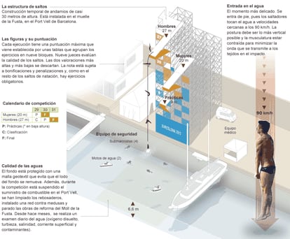 Fuentes: FINA, Barcelona 2013 y Red Bull Cliff Diving.