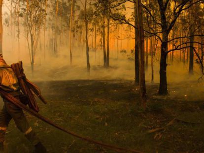 Imagen de archivo de un incendio en Galicia el pasado verano. En vídeo, el fuego ya ha arrasado 550 hectáreas en Rianxo.