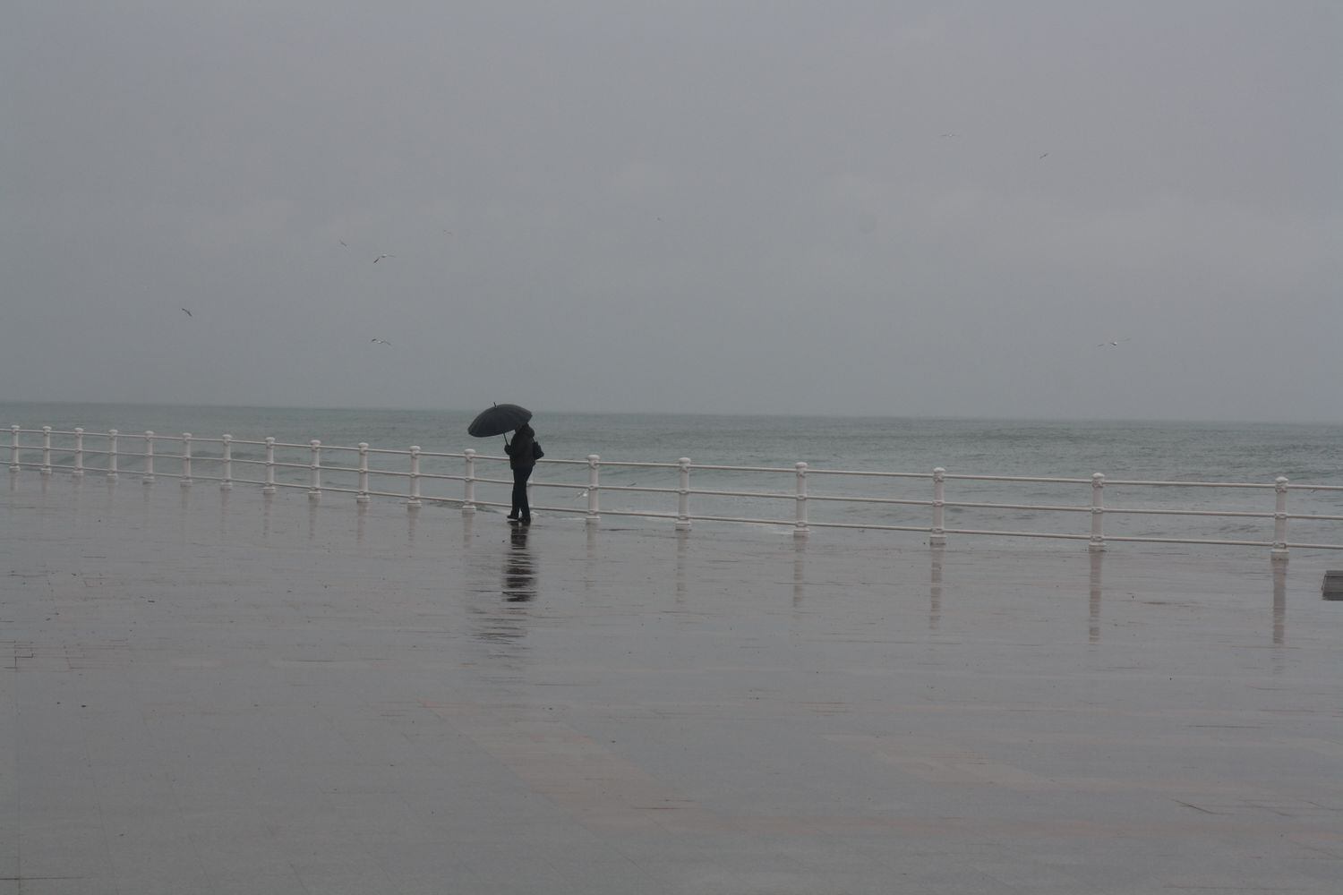 Un paseante solitario en la playa de Constanza, antigua Tomos