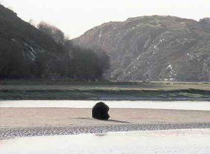 Imagen del vídeo <i>Wooden Boulder</i> (2003), de David Nash.