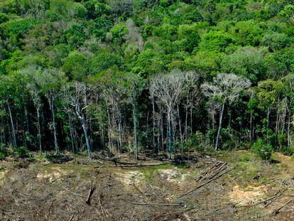 Vista aérea de una zona deforestada en la región de Sinop, en el Estado de Mato Grosso, en agosto de 2020.