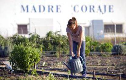 Una voluntaria de la ONG Madre Coraje trabaja en el "Huerto Solidario" donde 35 personas, cultivan desinteresadamente unos huertos solidarios con los que, de momento, han recolectado cerca de 17.000 kilos de verduras y hortalizas que han entregado a entidades benéficas y comedores sociales.