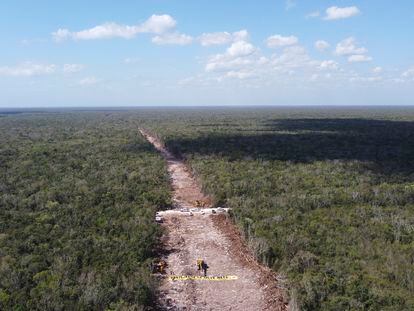 Vista aérea de la deforestación en la selva por las obras del Tren Maya a la altura de Playa del Carmen, Quintana Roo, en marzo pasado.