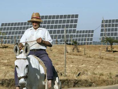 Un lugare&ntilde;o pasa delante del huerto solar de La Fregened.