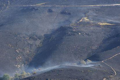 Incendio forestal en el municipio ourensano de Castrelo do Val