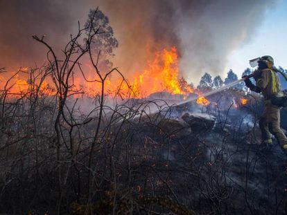 Incendio forestal en Rianxo (A Coruña) a finales de marzo. 