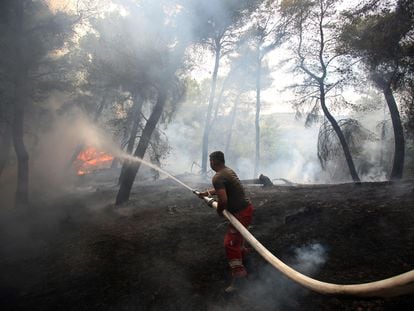 Un bombero apaga las llamas en un incendio forestal en Kraps (Albania), este miércoles.