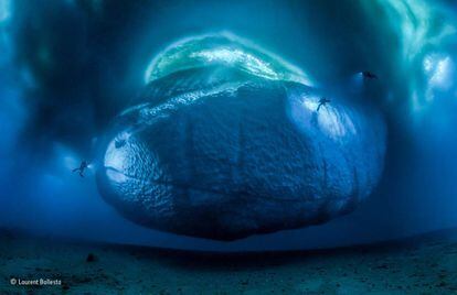 "El monstruo de hielo". Foto ganadora en la categoría La Tierra.