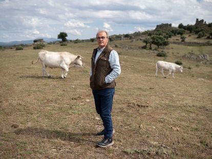 Manuel Gómez García, ganadero vacuno extensivo de Alaraz, Salamanca.