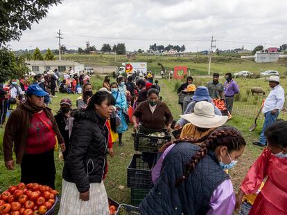 El Banco de Alimentos de México, una organización que suministra alimentos básicos a comunidades vulnerables en más de 20 Estados del país, dona comida en El Quelite, Estado de México, el pasado 27 de junio de 2022.