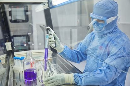 El equipo de investigación de la Universidad de Zaragoza que lidera el desarrollo industrial y clínico de una nueva vacuna contra la tuberculosis.
