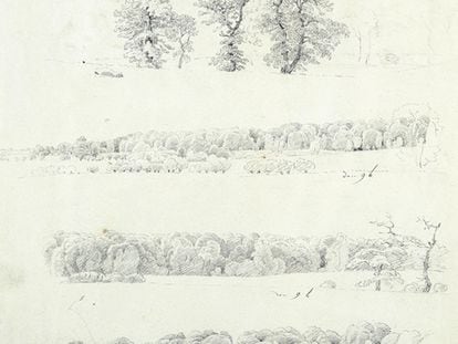 Friedrich  intenta captar en sus apuntes la esencia de la naturaleza. Son dibujos apresurados, pero que se afanan en recoger al máximo los detalles. En sus dibujos no faltan la fecha de sus apuntes Caspar David Friedrich. (Estudios de árboles, 1809. Kunsthalle Bremen).