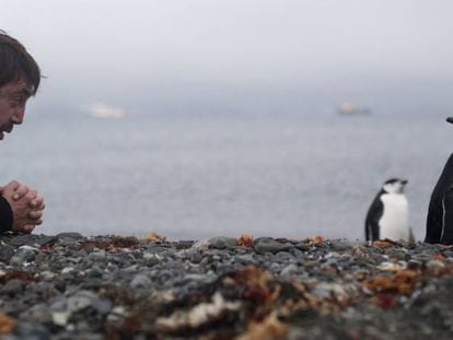 El actor español Javier Bardem mientras observa dos pingüinos, en la Antártida (Chile), el 24 de enero.