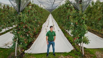 José María Fernández Estébanez, estudiante de Matemáticas, en una plantación a la que asesora la empresa en la que ha cursado la beca.