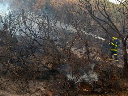 Un bombero trabaja en las labores de extinción del incendio del Paraje Natural de Las Canteras en Puerto Real (Cádiz).