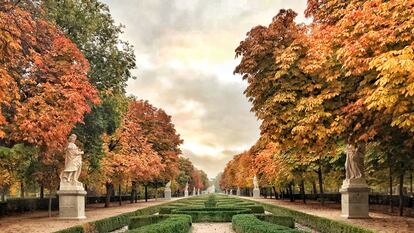 El paseo de Argentina en el parque del Retiro de Madrid en otoño.