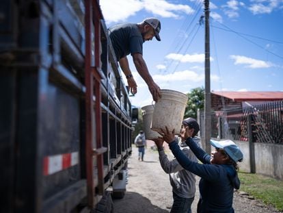 Cortadores de café entregan el grano cortado a cambio de fichas con las que luego recibirán su pago, en San Roque de Barva (Costa Rica), el 20 de enero de 2024.