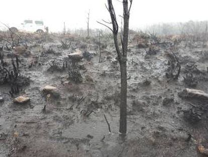 Cabeza de Meda esta semana.