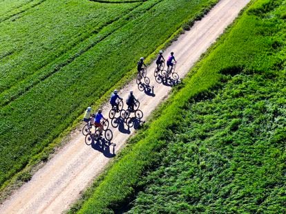 Un grupo de ciclistas corre por la comarca de Girona.