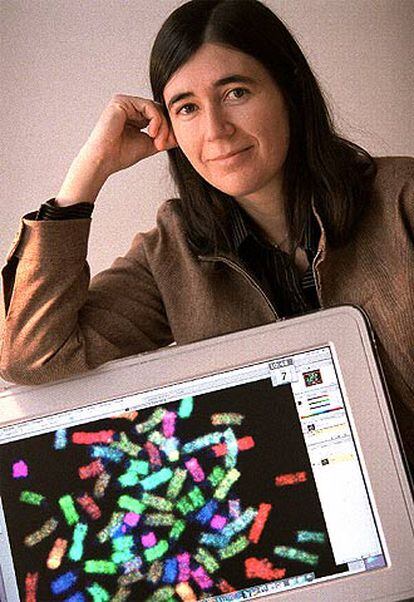 María Blasco muestra cromosomas de ratón en una pantalla.