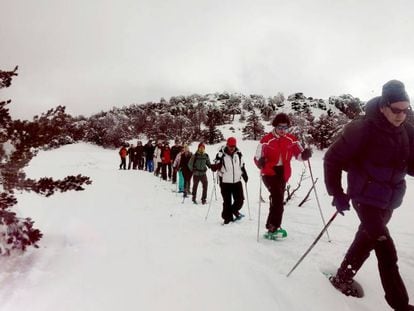 Ruta al aire libre por la Sierra de Guadarrama con raquetas de nieve.