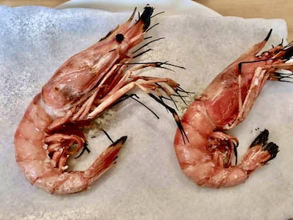 Gambas rojas de Roses a la parrilla en Estimar. J.C. CAPEL
