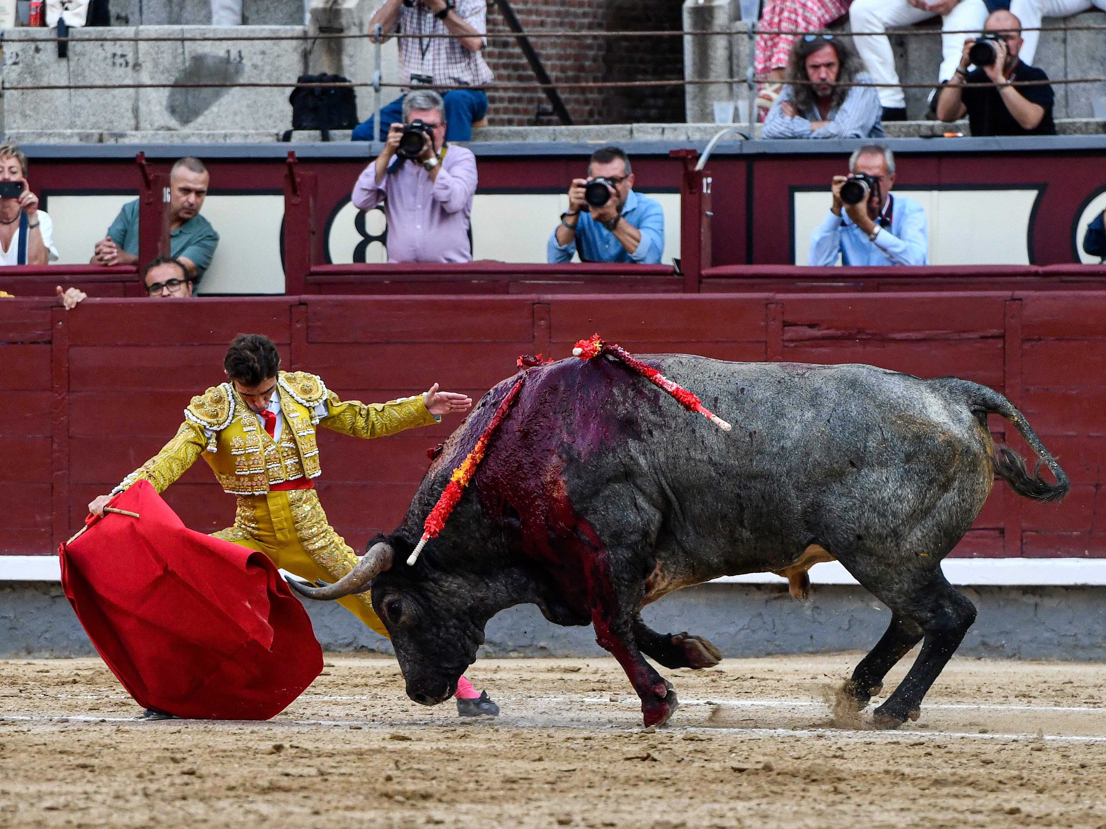Fernando Robleño, ante el toro de José Escolar, el pasado 18 de septiembre en Las Ventas.