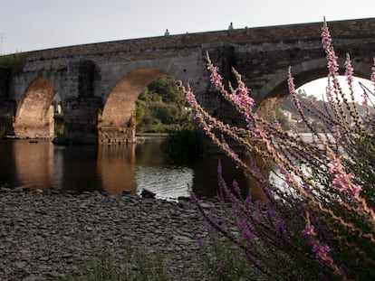 El río Miño, a su paso por Lugo, el pasado día 13.