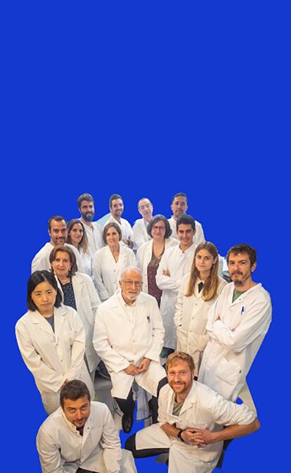 Dentro del laboratorio español que busca la vacuna definitiva para la covid