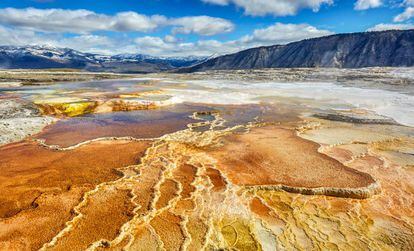 Patrones de formaciones de cianobacterias y travertino, en una zona del Parque de Yellowstone, (EE UU).