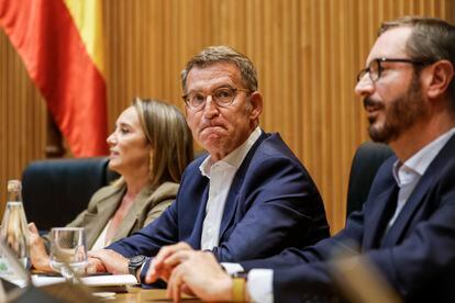 El presidente del PP, Alberto Núñez Feijóo, durante la reunión convocada con los nuevos diputados y senadores de su partido este miércoles en el Congreso de los Diputados.